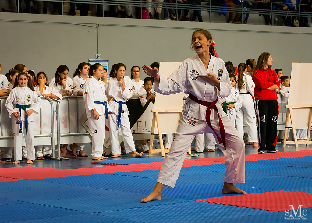 COPA SEUL, 2017  (62).JPG